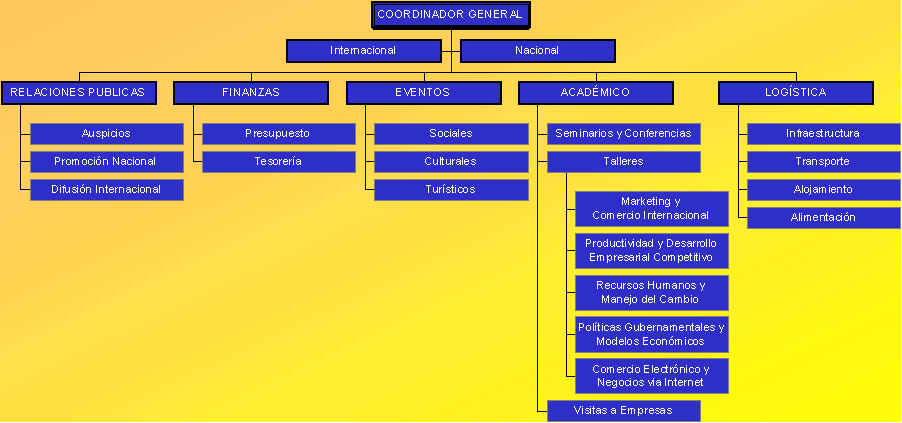 Estructura Organizacional ELECA 2000