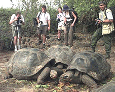 Tortugas Gigantes (Galpagos)